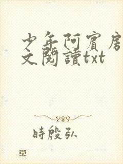 少年阿宾房东全文阅读txt封面