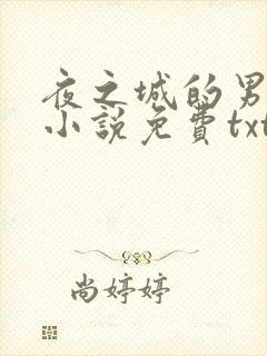 夜之城的男人们小说免费txt下载封面