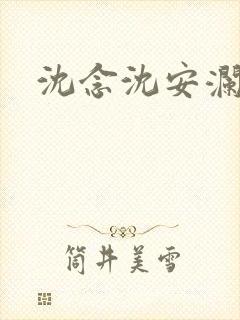 沈念沈安澜小说