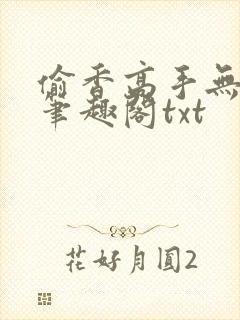 偷香高手无删减笔趣阁txt