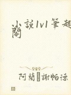 小说1v1笔趣阁