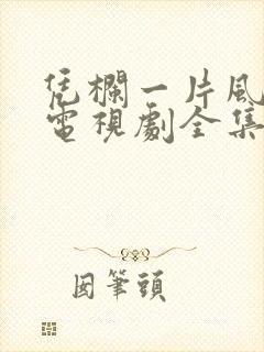 凭栏一片风云起电视剧全集免费观看封面