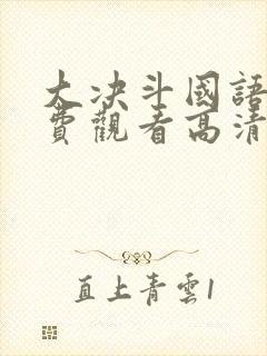 大决斗国语版免费观看高清