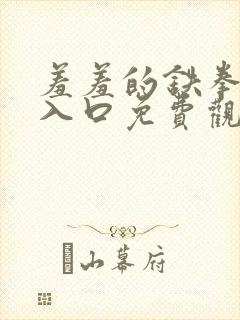 羞羞的铁拳漫画入口免费观看