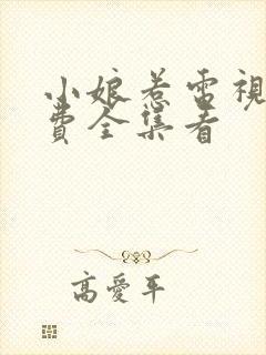 小娘惹电视剧免费全集看