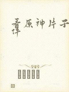 看原神片子的软件