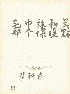 毛巾袜和羊毛袜哪个保暖点高些封面