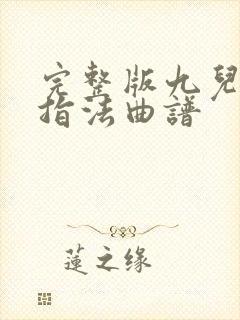 完整版九儿二胡指法曲谱