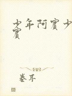 少年阿宾少年阿宾封面