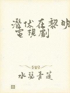 潜伏在黎明之前 电视剧