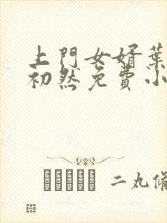 上门女婿叶辰萧初然免费小说