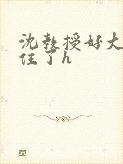 沈教授好大含不住了h