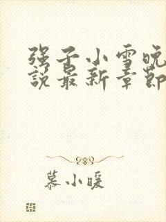 强子小雪晚晴小说最新章节阅读