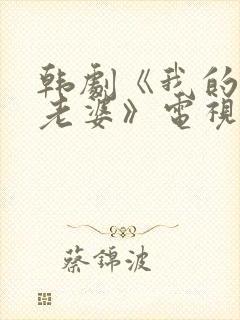 韩剧《我的邻居老婆》电视剧