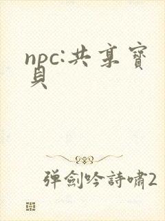 npc:共享宝贝