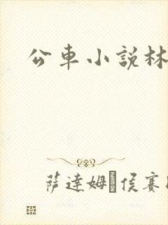 公车小说林蔓蔓
