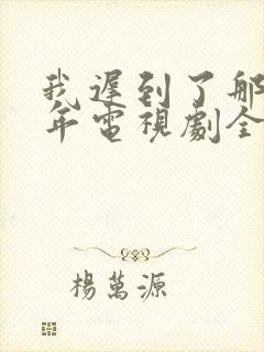 我迟到了那么多年电视剧全集免费