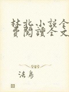 林北小说全文免费阅读全文