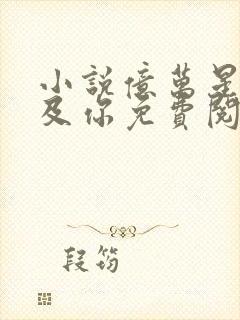 小说亿万星辰不及你免费阅读