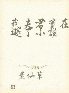 我夫君实在太谦逊了小说