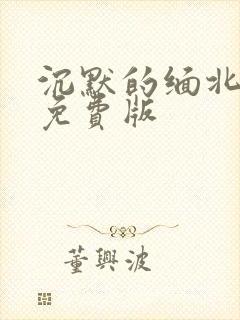 沉默的缅北高清免费版