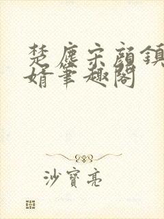 楚尘宋颜镇国神婿笔趣阁