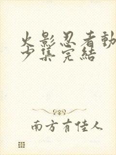 火影忍者动漫多少集完结封面