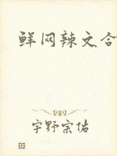 鲜网辣文合集