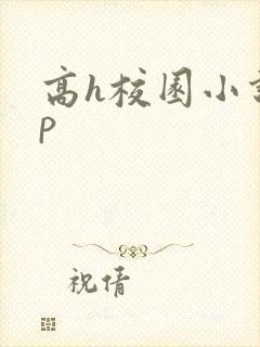 高h校园小说np封面
