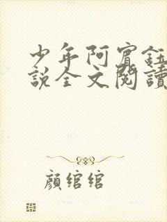 少年阿宾钰慧小说全文阅读目录免费