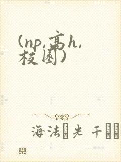 (np,高h,校园)