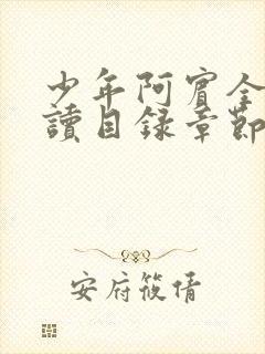 少年阿宾全文阅读目录章节