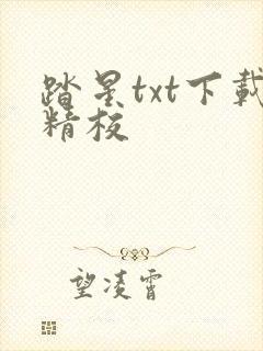 踏星txt下载精校