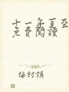 十一年夏至小说免费阅读封面