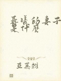 聂曦的妻子结局是什么封面