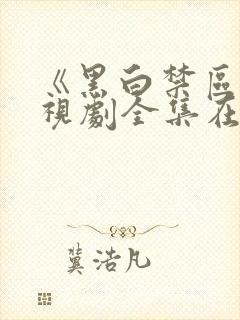 《黑白禁区》电视剧全集在线观看