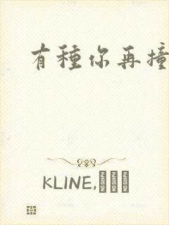 有种你再撞一下