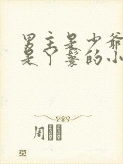 男主是少爷女主是丫鬟的小说