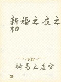 新婚之夜之性之初