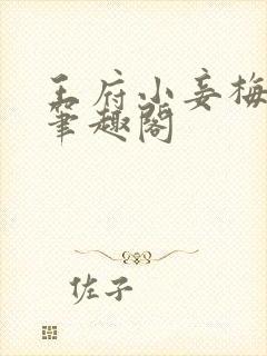 王府小妾梅素素笔趣阁封面