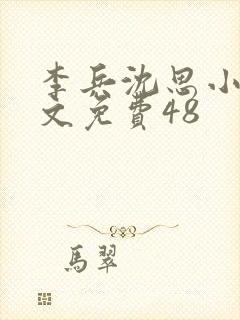 李兵沈思小说全文免费48封面