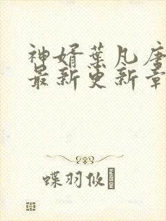 神婿叶凡唐若雪最新更新章节