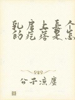 乳房上长个黑色的疙瘩是怎么回事