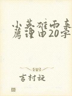小英雄雨来的推荐理由20字