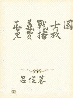 正义战士国语版免费播放