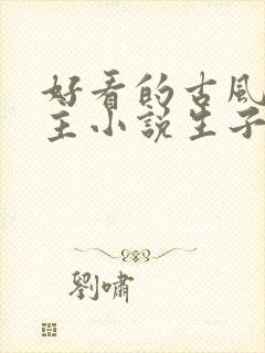 好看的古风双男主小说生子