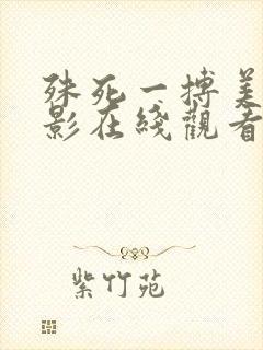 殊死一搏美国电影在线观看