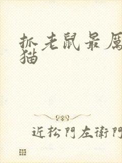 抓老鼠最厉害的猫