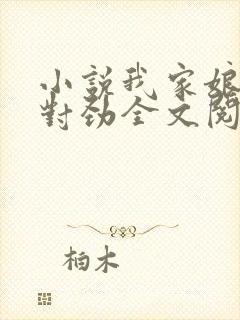 小说我家娘子不对劲全文阅读免费