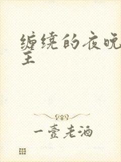 缠绕的夜晚双男主